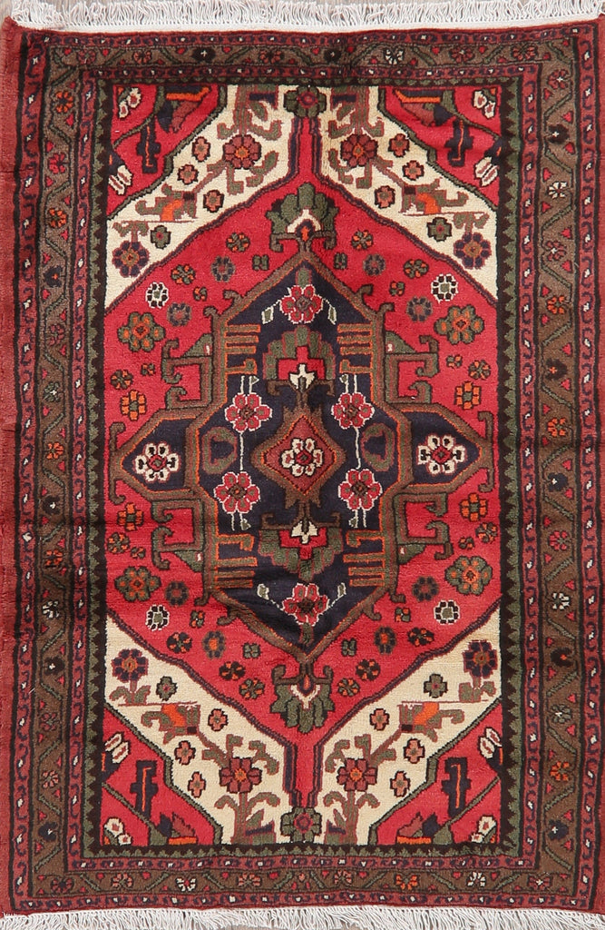 Geometric Hamedan Persian Area Rug 3x5