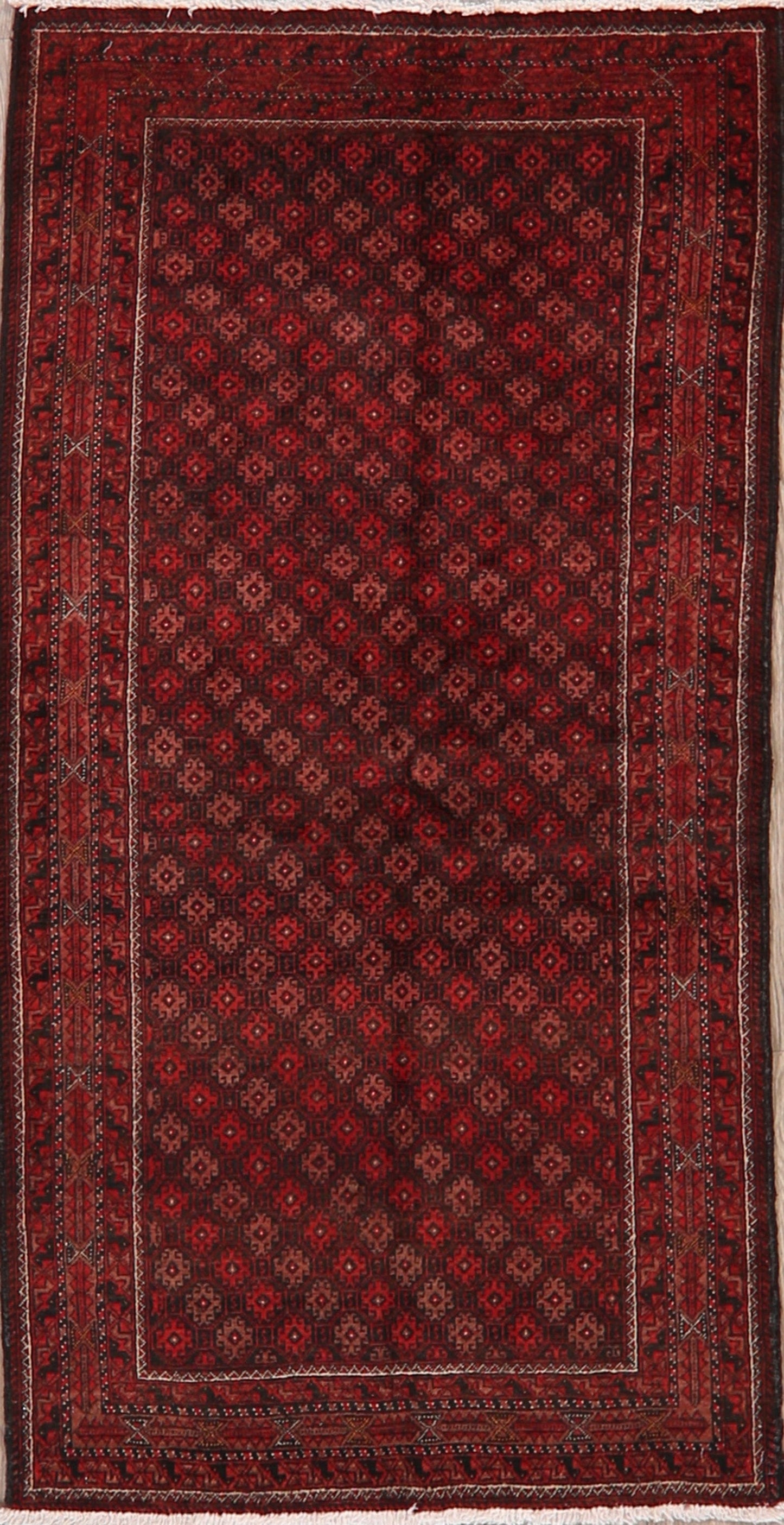 All-Over Geometric Balouch Oriental Area Rug 3x6