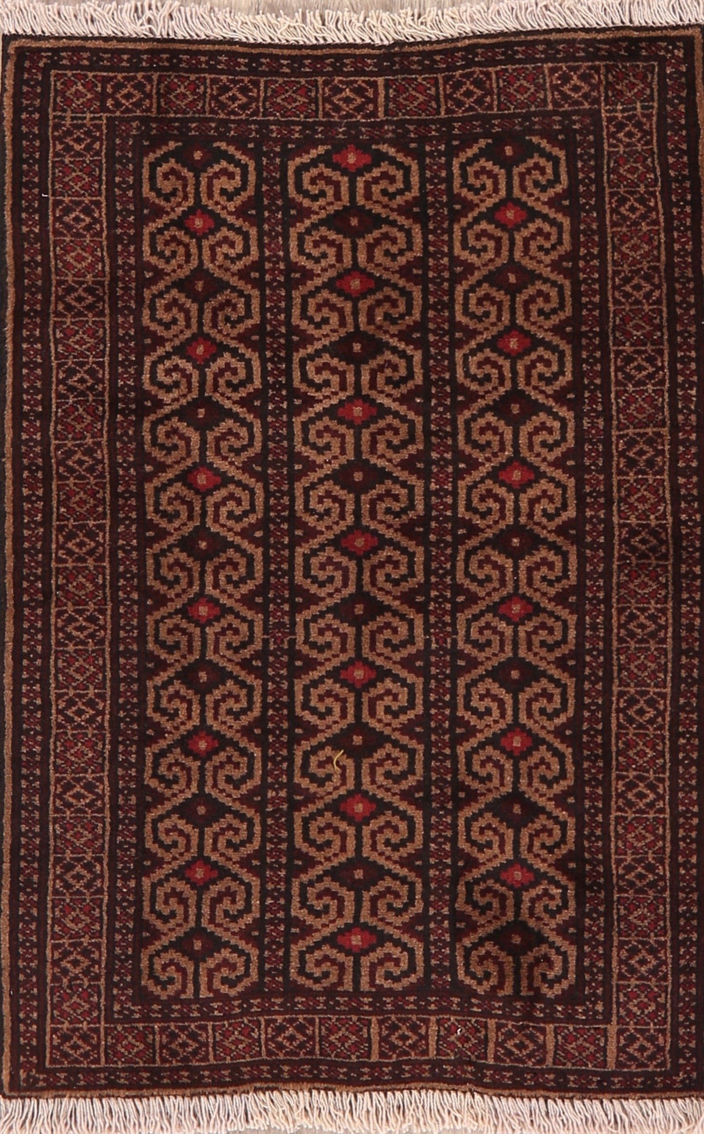 Brown Geometric Balouch Oriental Area Rug 3x4