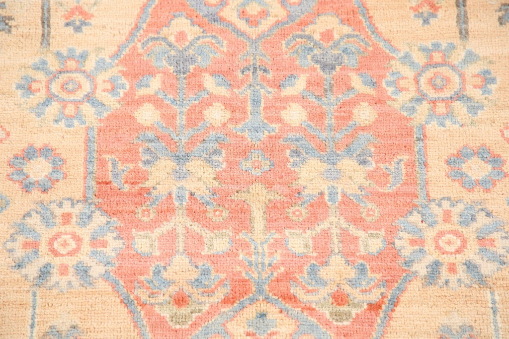 Vegetable Dye Sultanabad Ziegler Oriental Area Rug 4x6