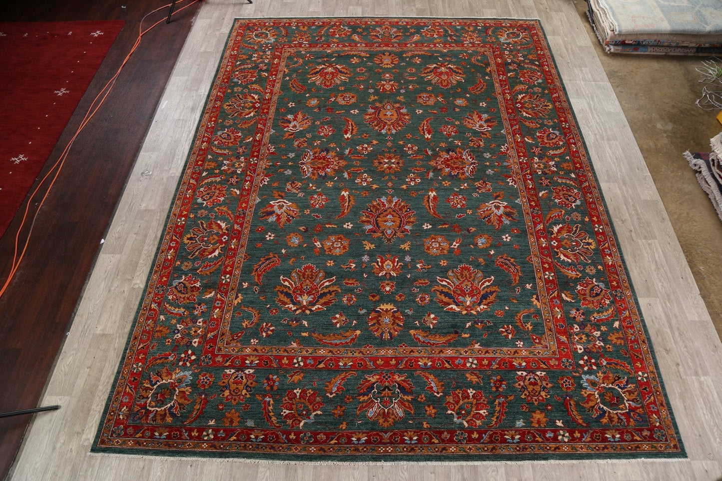 Floral Green Sultanabad Ziegler Oriental Area Rug 10x14