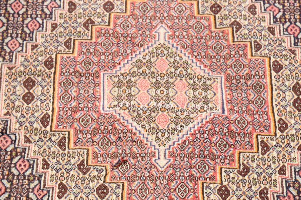 Geometric Bidjar Persian Area Rug 4x5