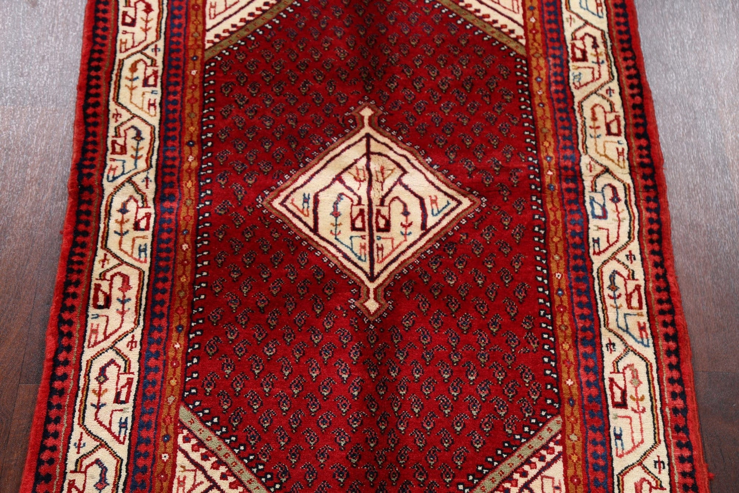 Geometric Red Botemir Persian Area Rug 4x6