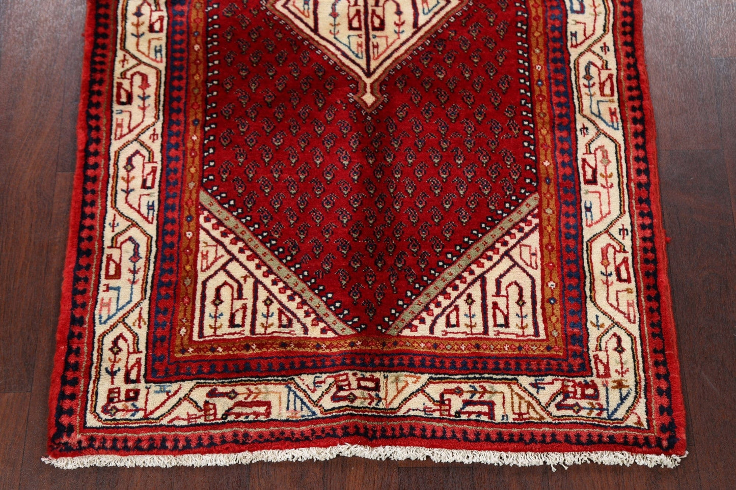 Geometric Red Botemir Persian Area Rug 4x6