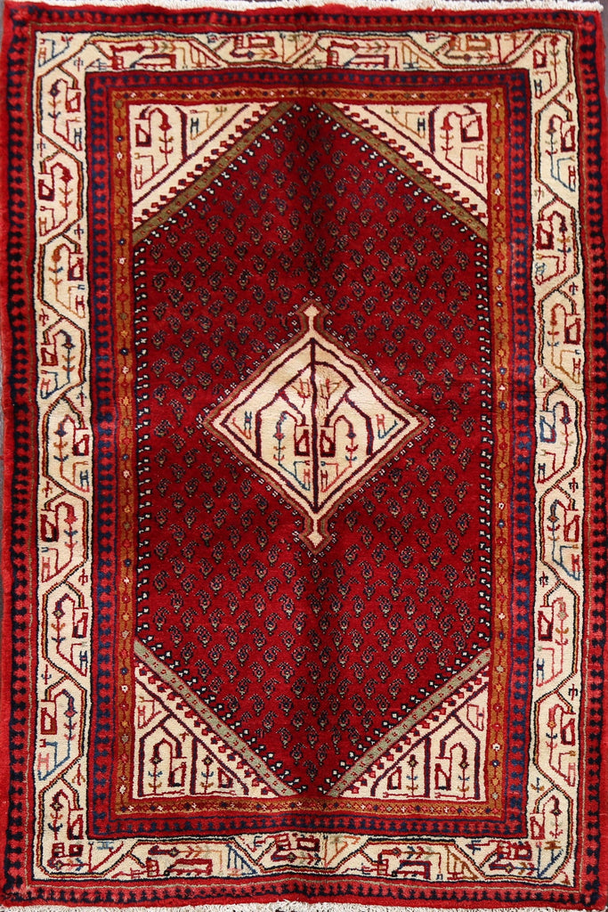 Geometric Red Botemir Persian Area Rug 4x6