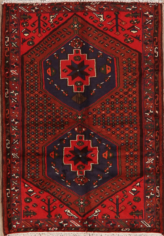 Tribal Geometric Hamedan Persian Area Rug 3x5