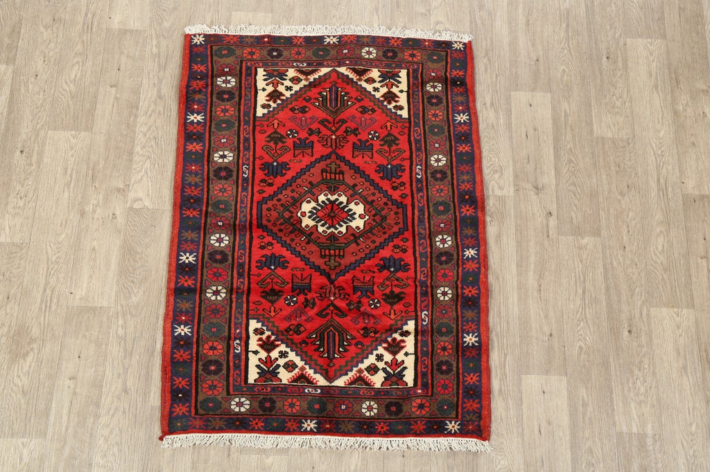 Tribal Geometric Hamedan Persian Area Rug 3x5