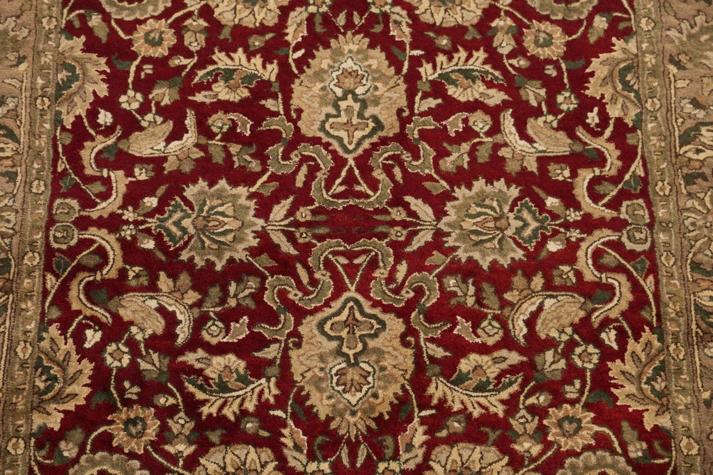 Floral Agra Oriental Area Rug 5x8