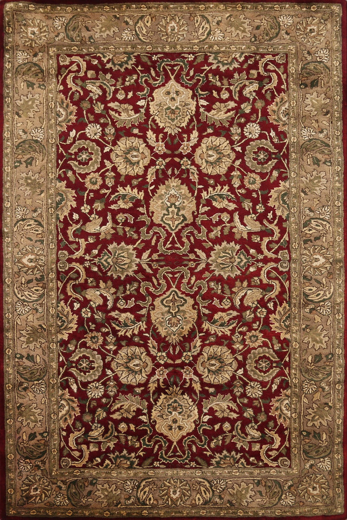 Floral Agra Oriental Area Rug 5x8