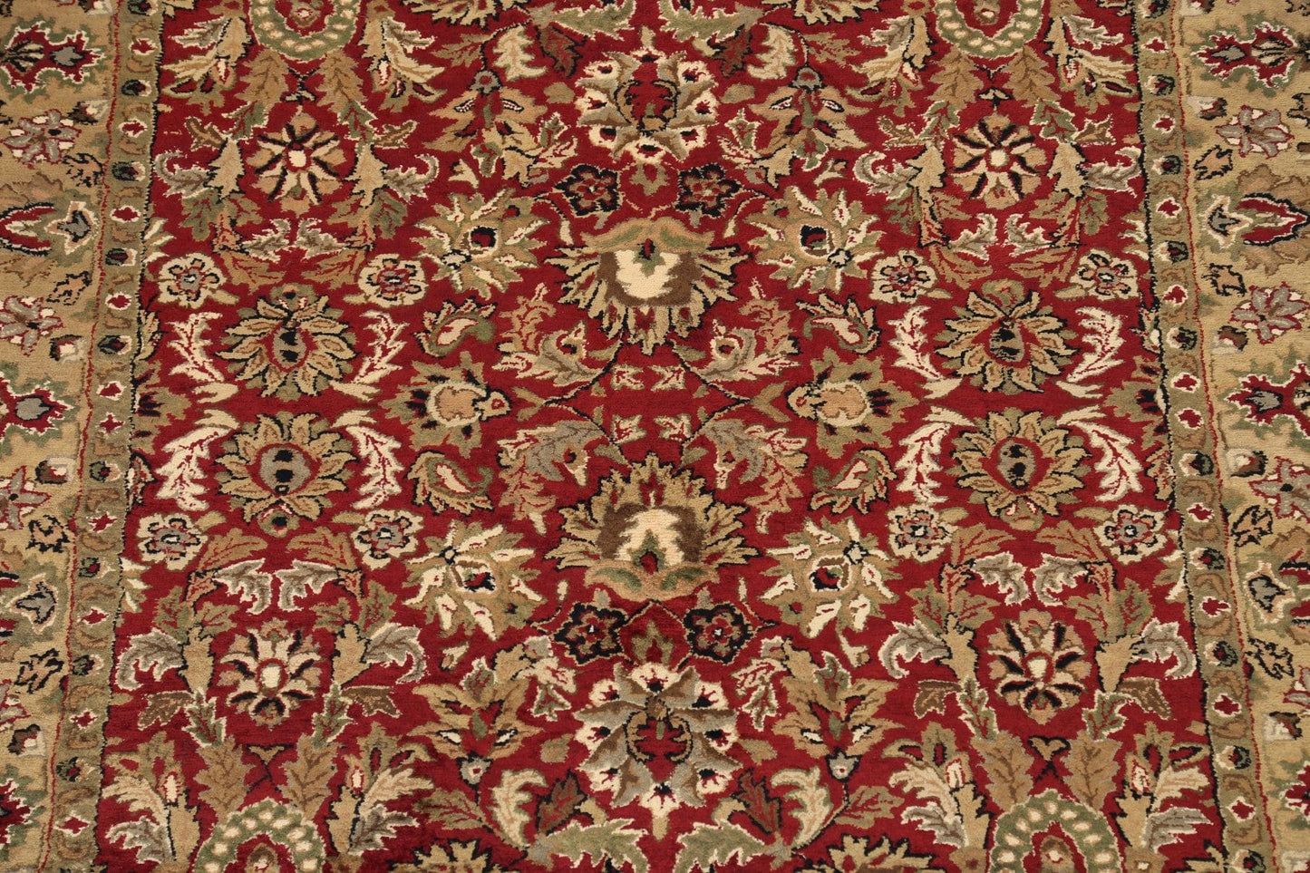 Floral Agra Oriental Area Rug 5x8