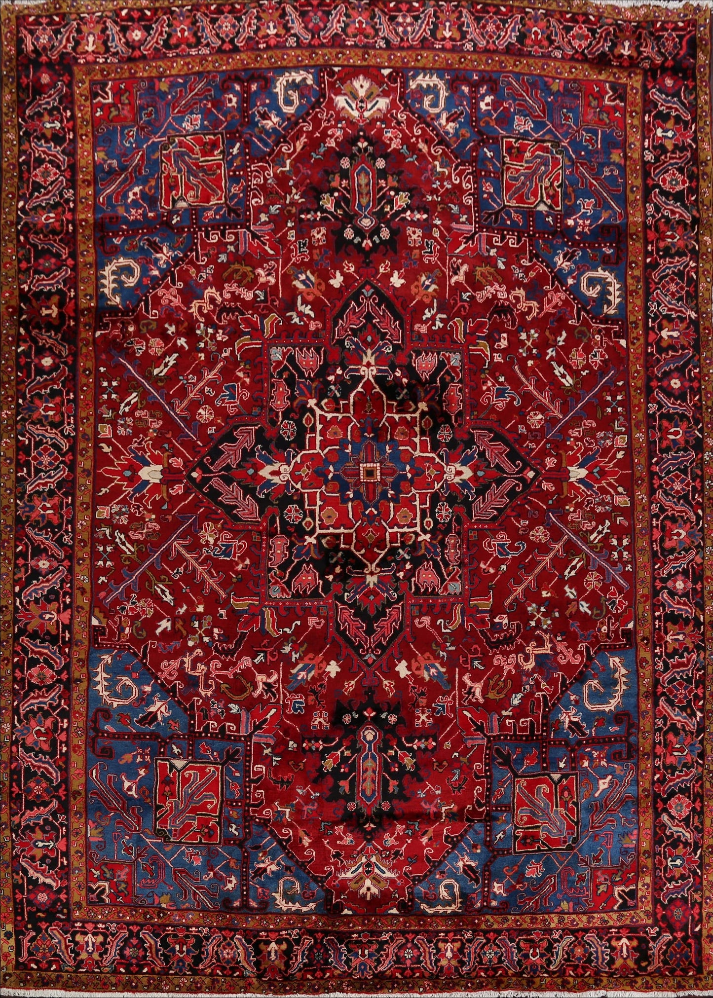 Geometric Red Heriz Serapi Persian Area Rug 9x12