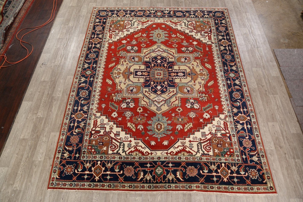 Geometric Heriz Serapi Oriental Area Rug 9x12