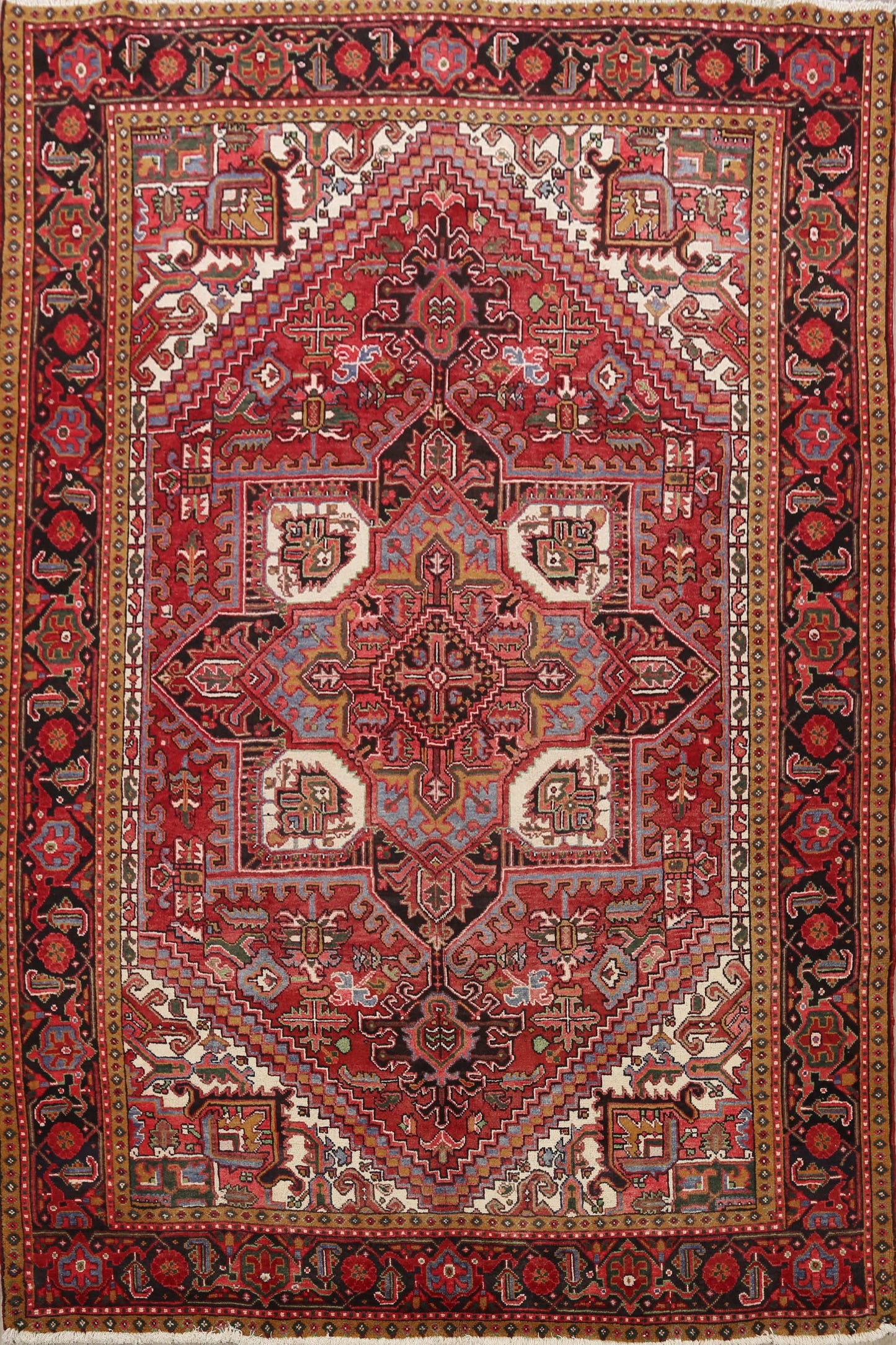 Geometric Heriz Persian Area Rug 8x11