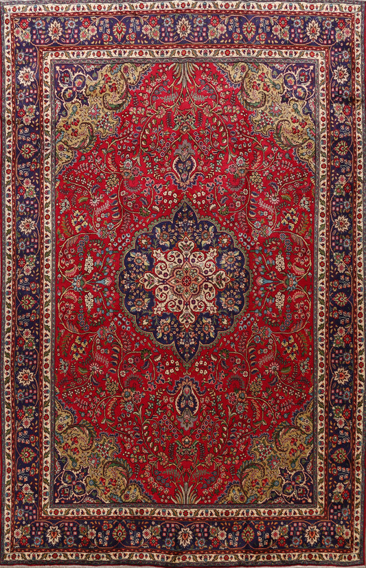 Red Tabriz Persian Area Rug 10x13