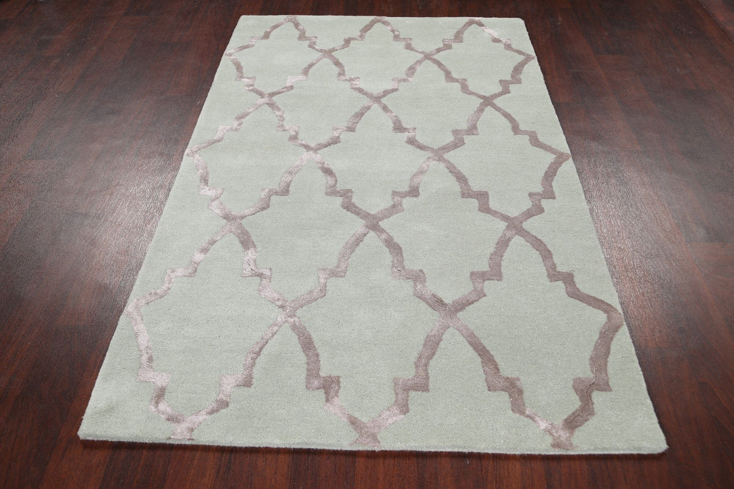 Modern Trellis Oriental Area Rug 4x6