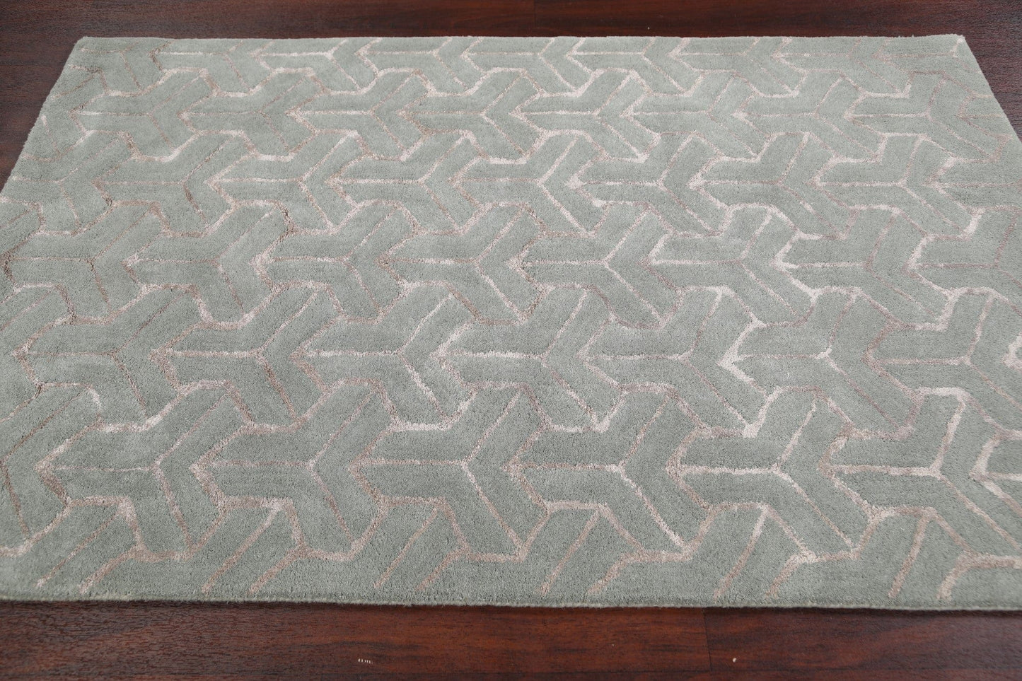 Modern Trellis Oriental Area Rug 4x6