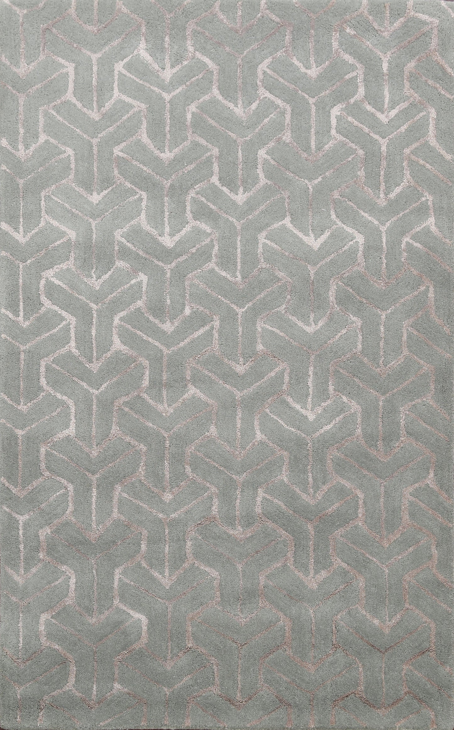 Modern Trellis Oriental Area Rug 4x6