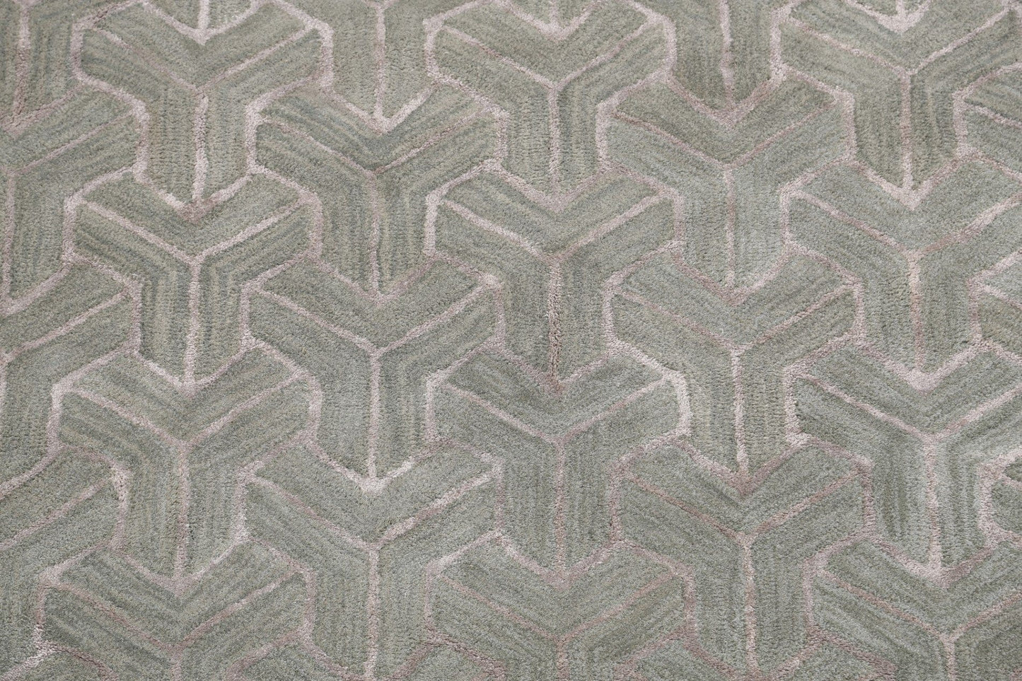 Modern Trellis Oriental Area Rug 4x6