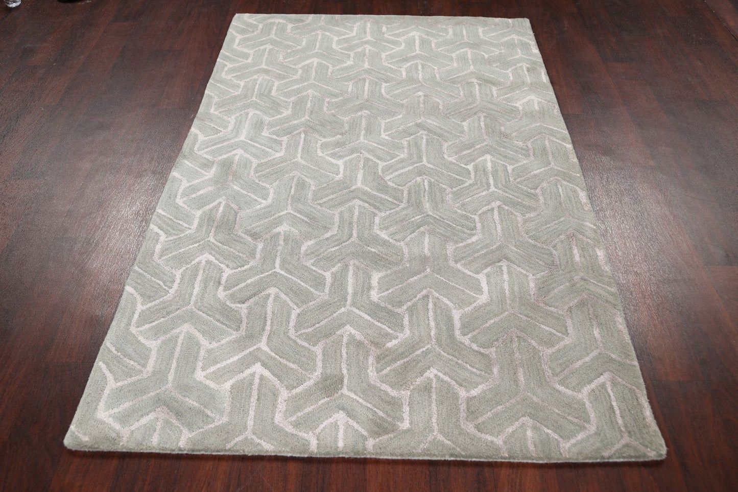 Modern Trellis Oriental Area Rug 4x6