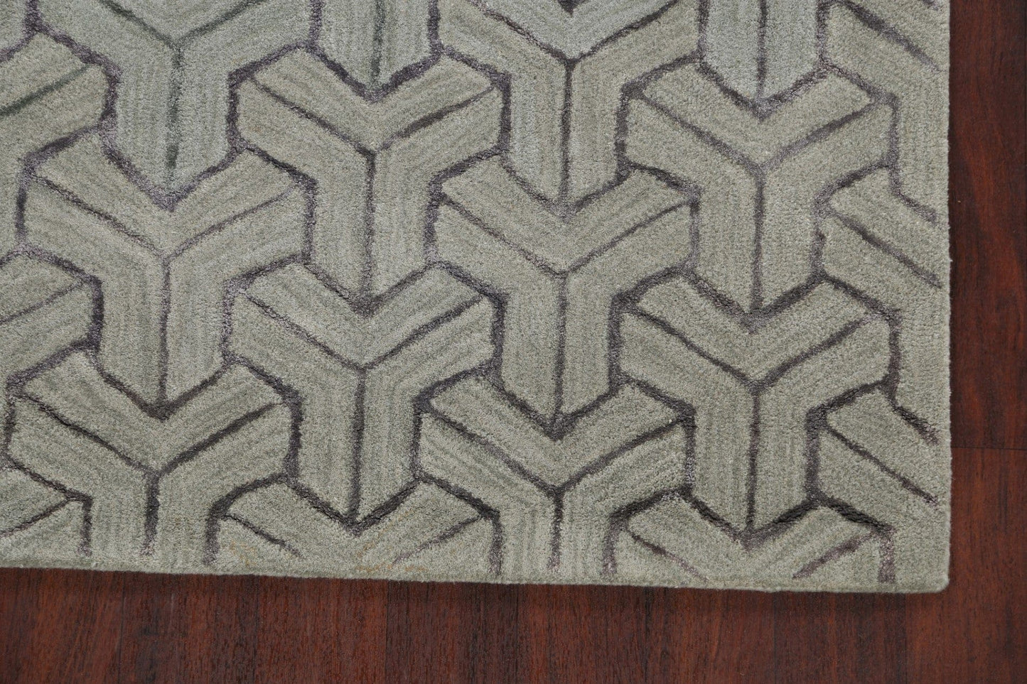 Modern Trellis Oriental Area Rug 4x6