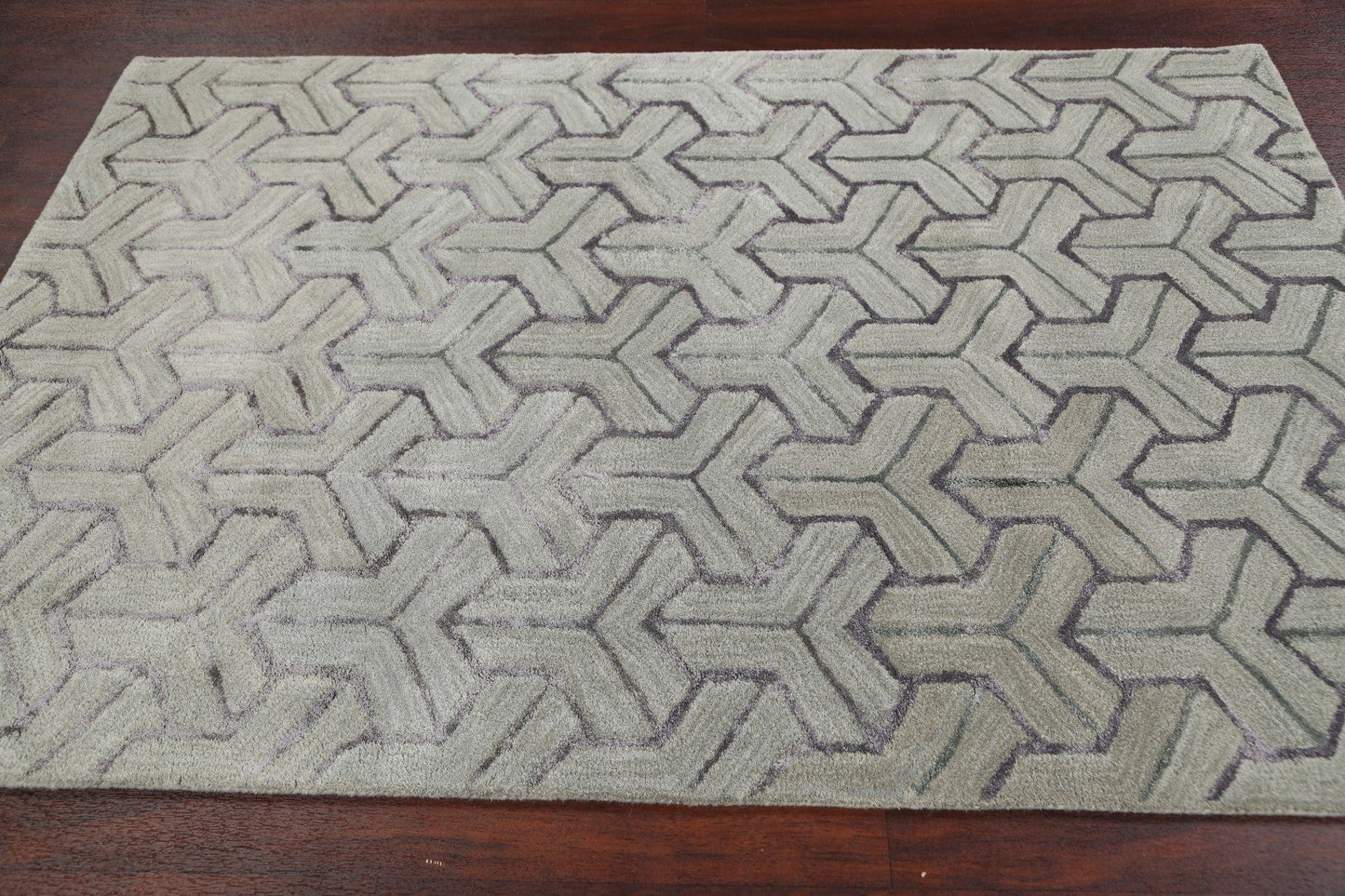 Modern Trellis Oriental Area Rug 4x6