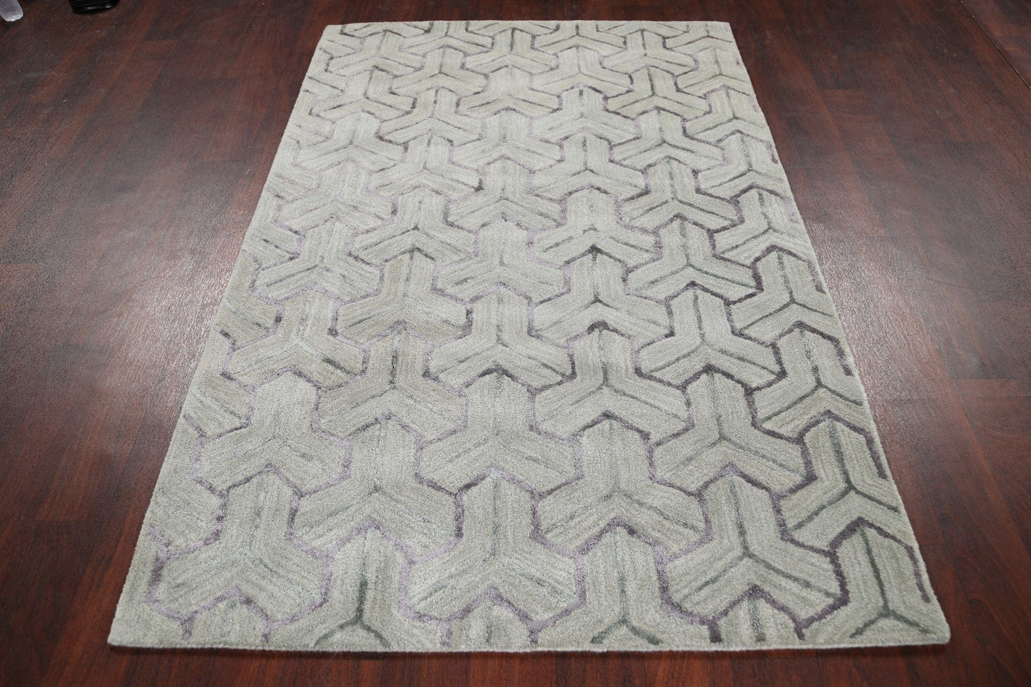 Modern Trellis Oriental Area Rug 4x6