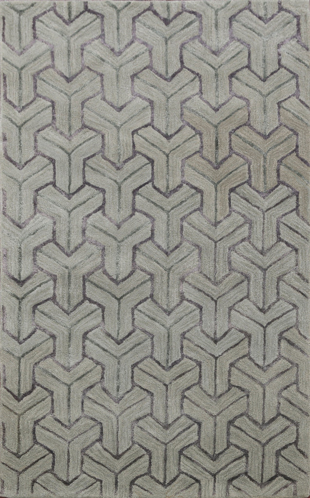 Modern Trellis Oriental Area Rug 4x6