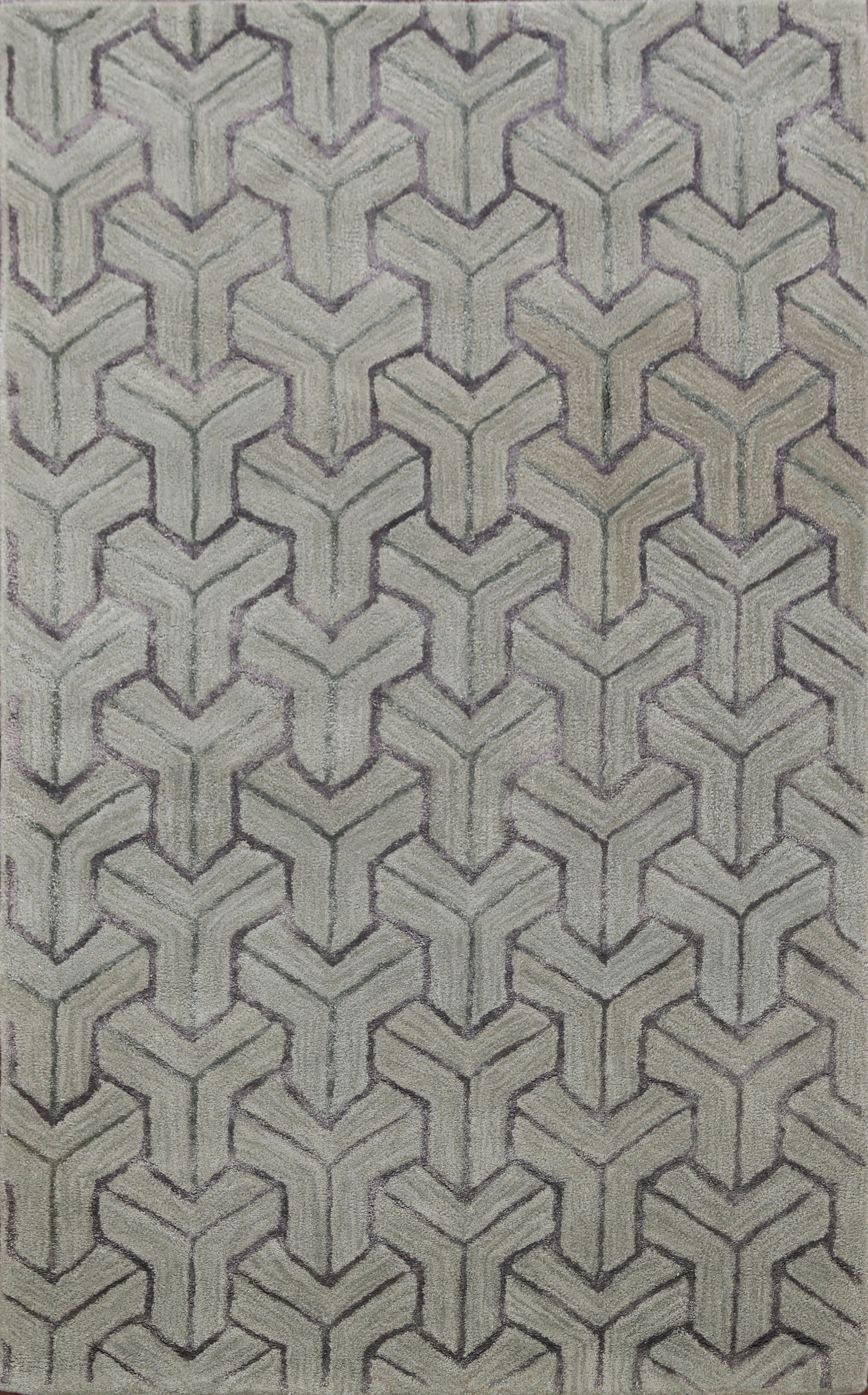 Modern Trellis Oriental Area Rug 4x6