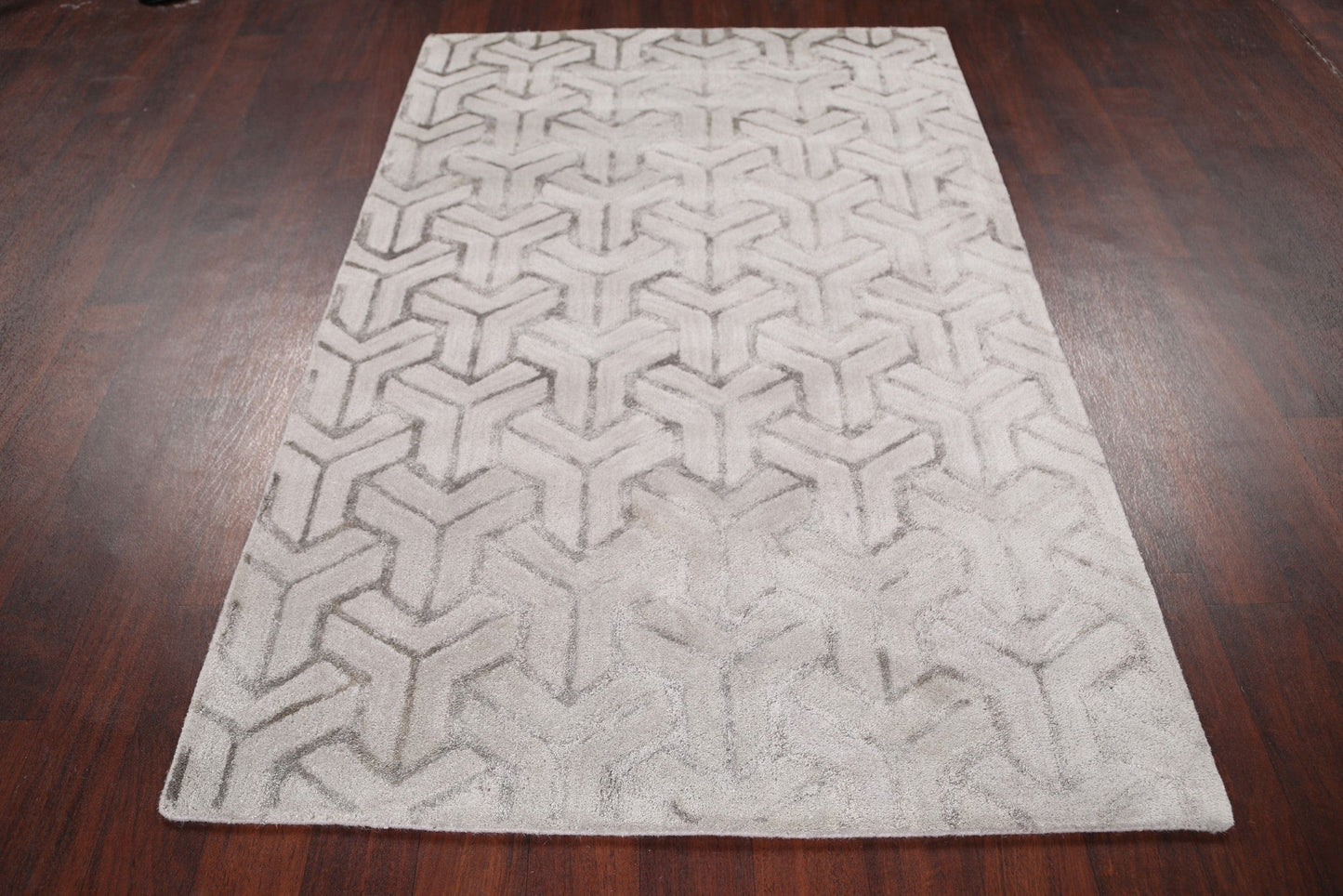 Modern Trellis Oriental Area Rug 4x6