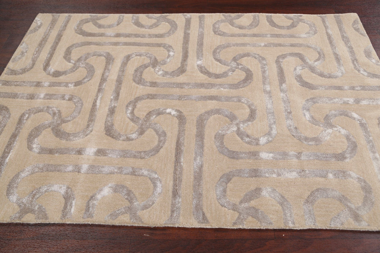 Modern Trellis Oriental Area Rug 4x6