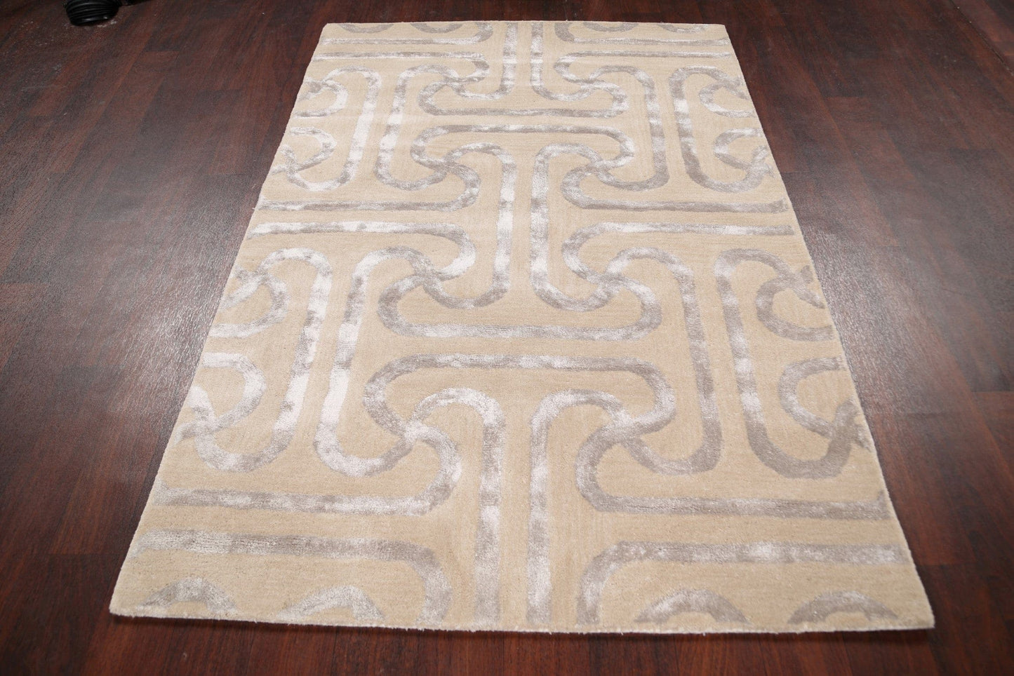 Modern Trellis Oriental Area Rug 4x6