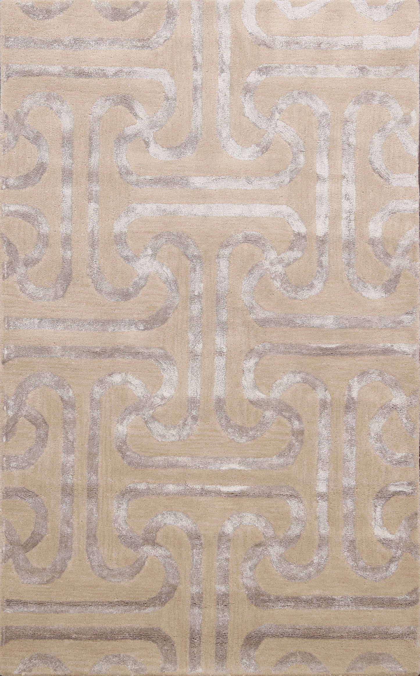 Modern Trellis Oriental Area Rug 4x6