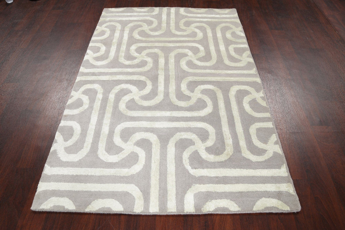 Modern Trellis Oriental Area Rug 4x6