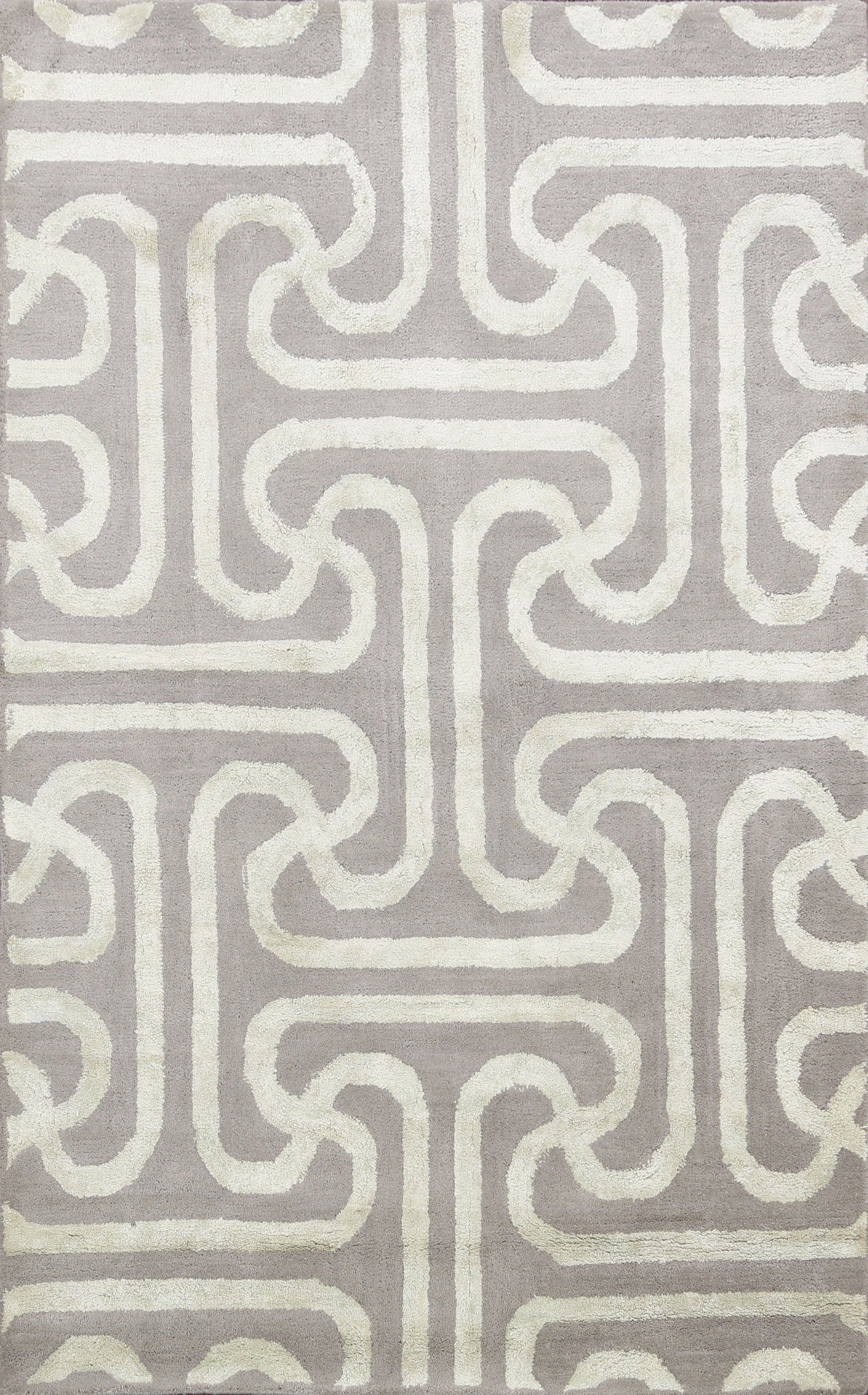 Modern Trellis Oriental Area Rug 4x6