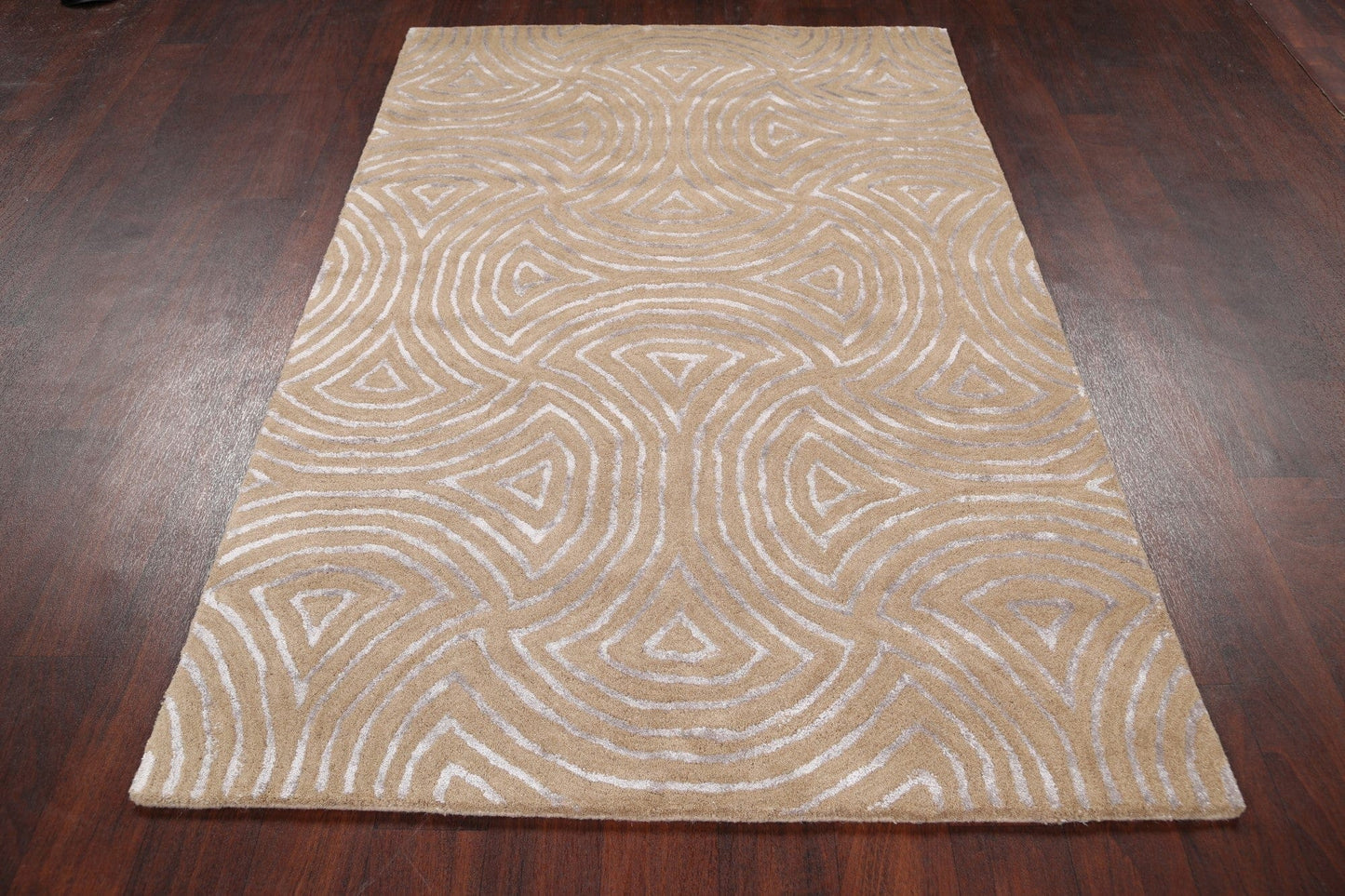 Modern Trellis Oriental Area Rug 4x6