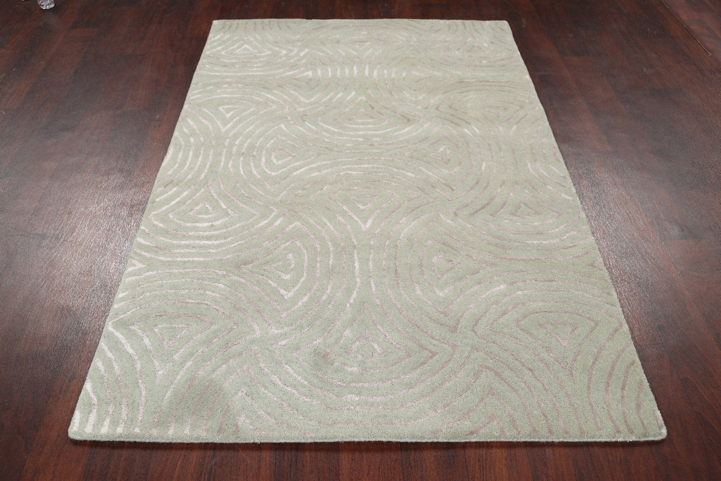 Modern Trellis Oriental Area Rug 4x6