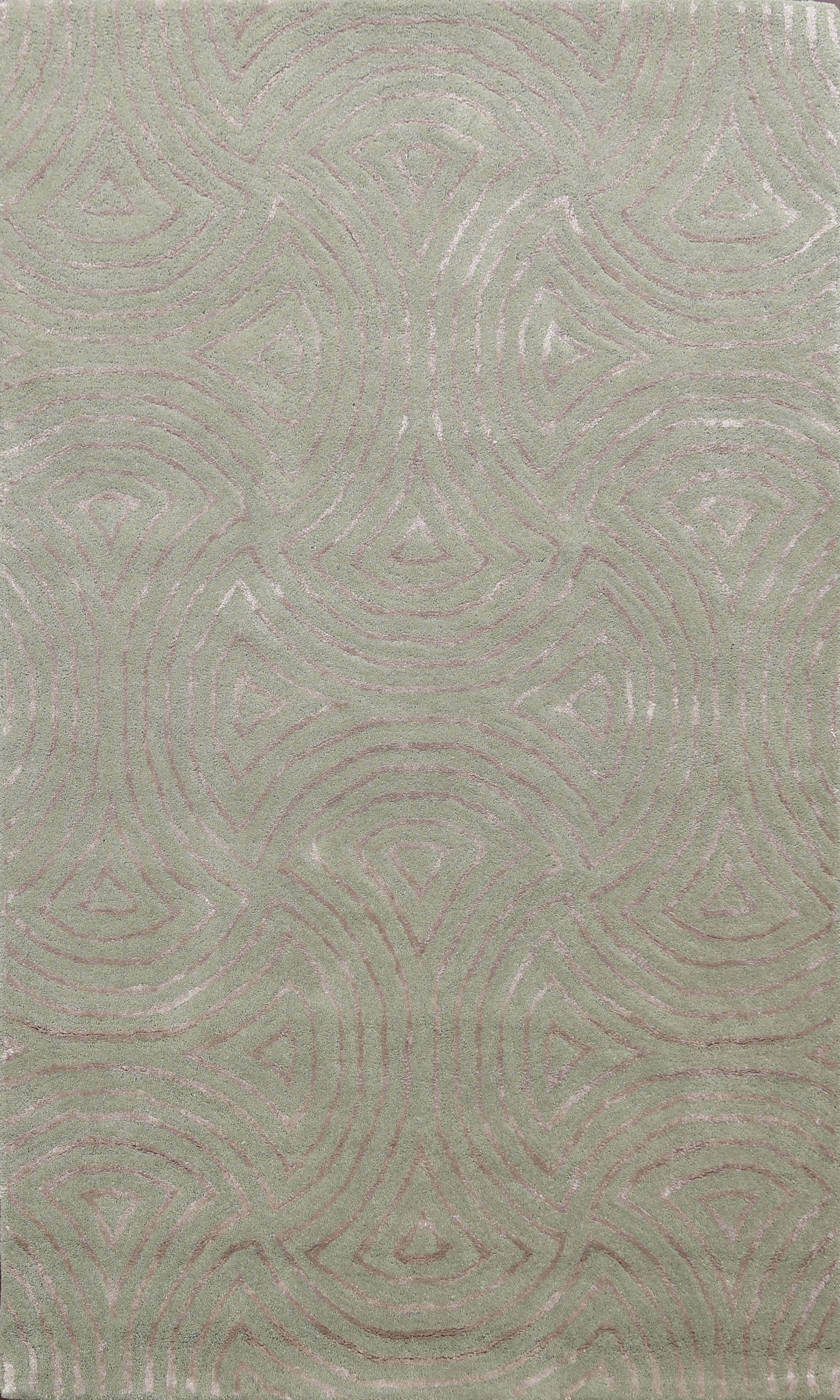 Modern Trellis Oriental Area Rug 4x6