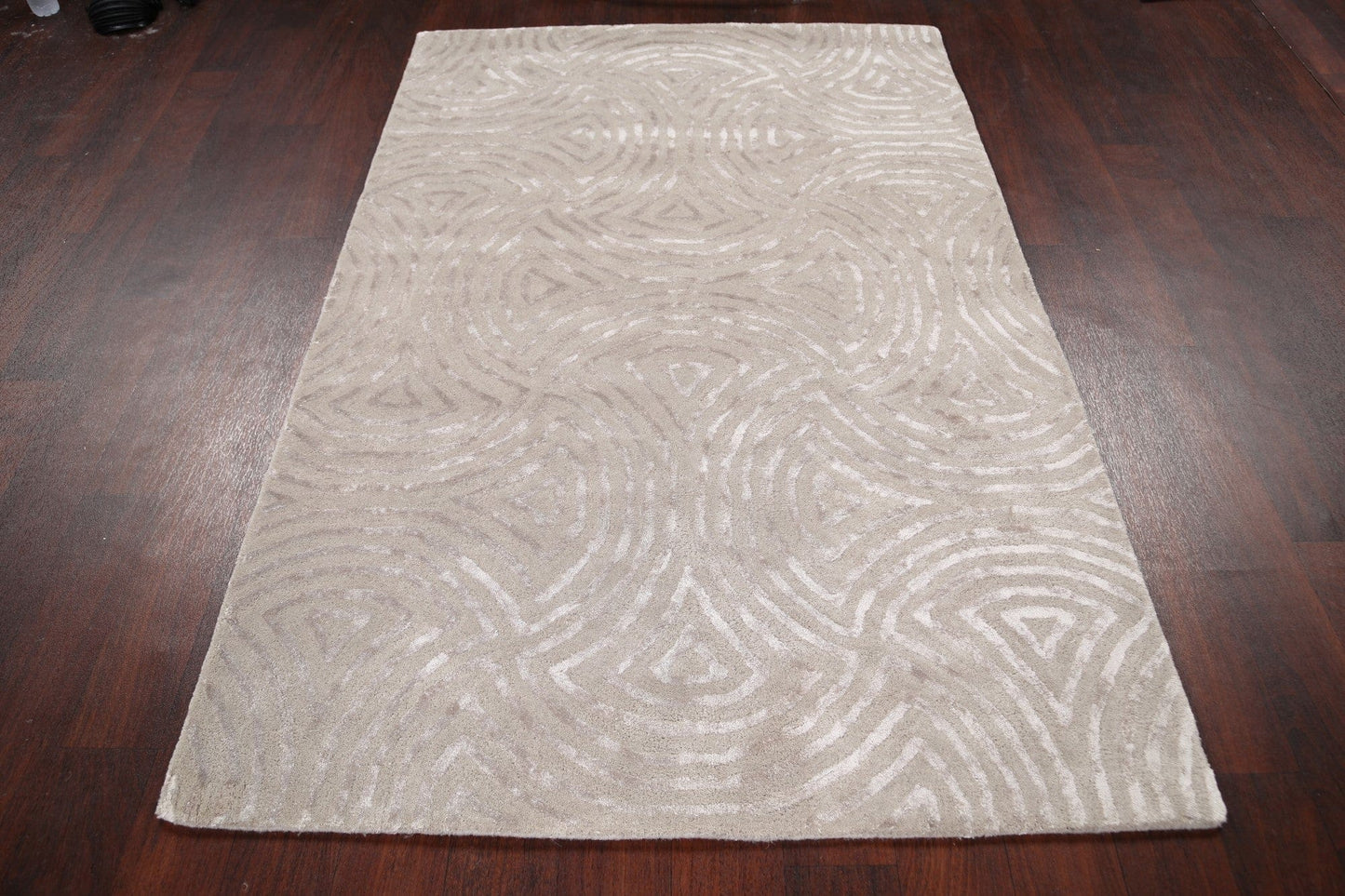 Modern Trellis Oriental Area Rug 4x6