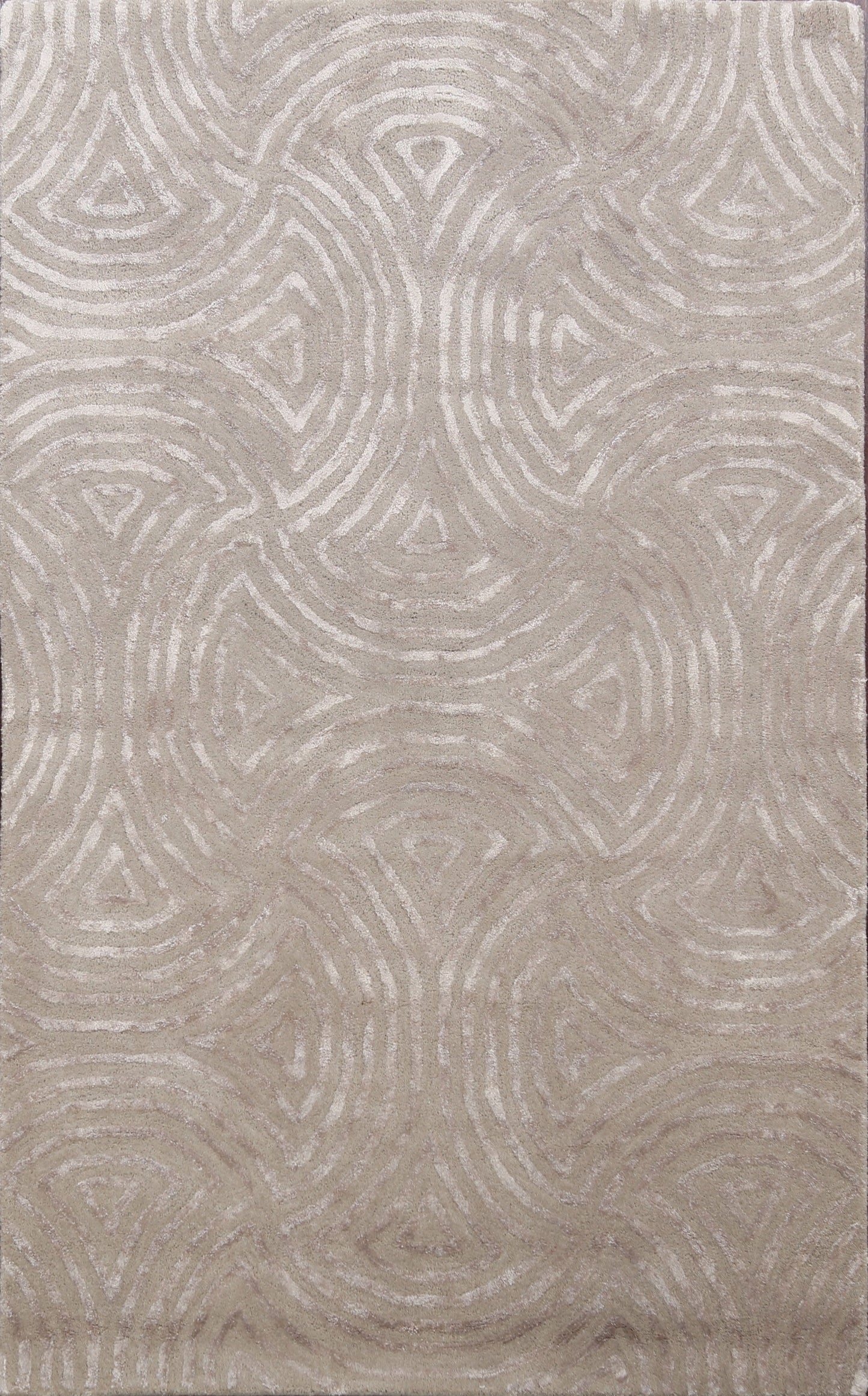 Modern Trellis Oriental Area Rug 4x6