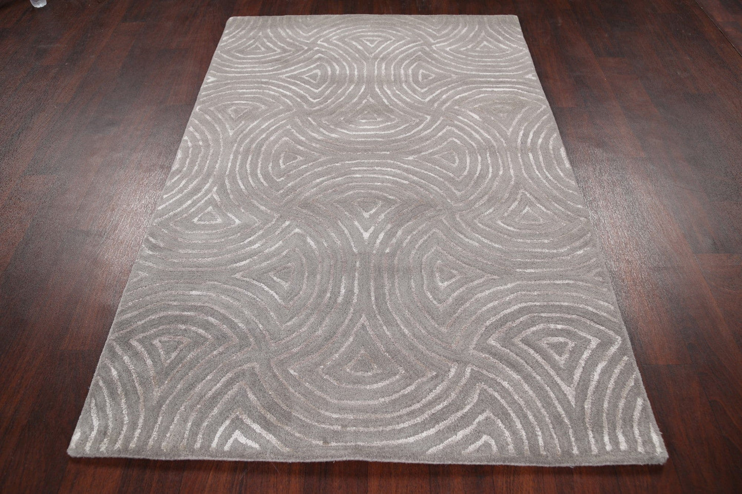 Modern Trellis Oriental Area Rug 4x6