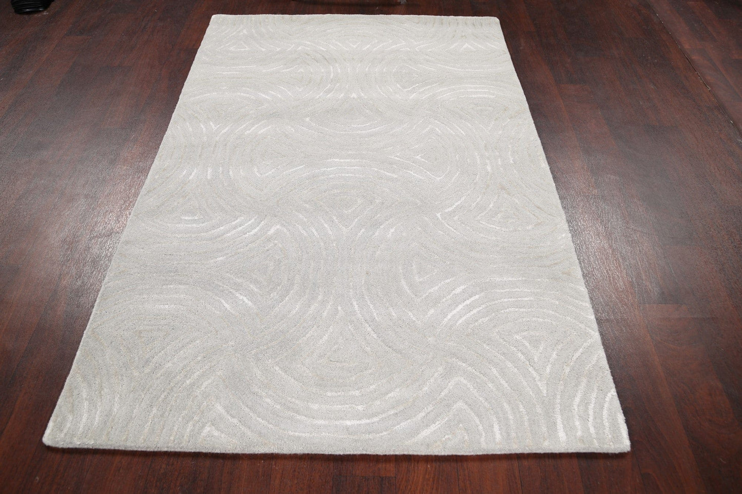 Modern Trellis Oriental Area Rug 4x6