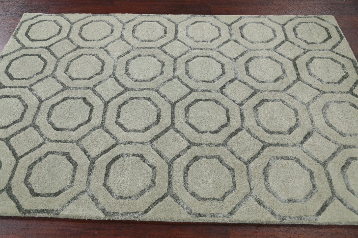 Modern Trellis Oriental Area Rug 4x6