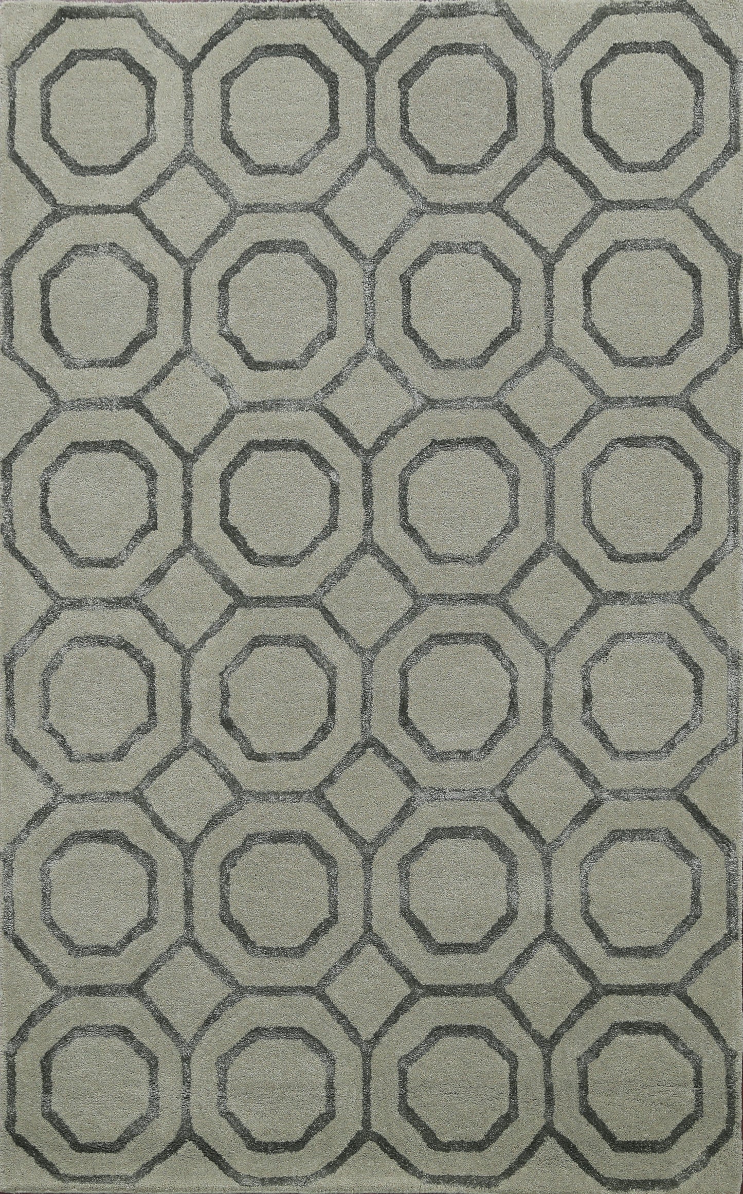 Modern Trellis Oriental Area Rug 4x6