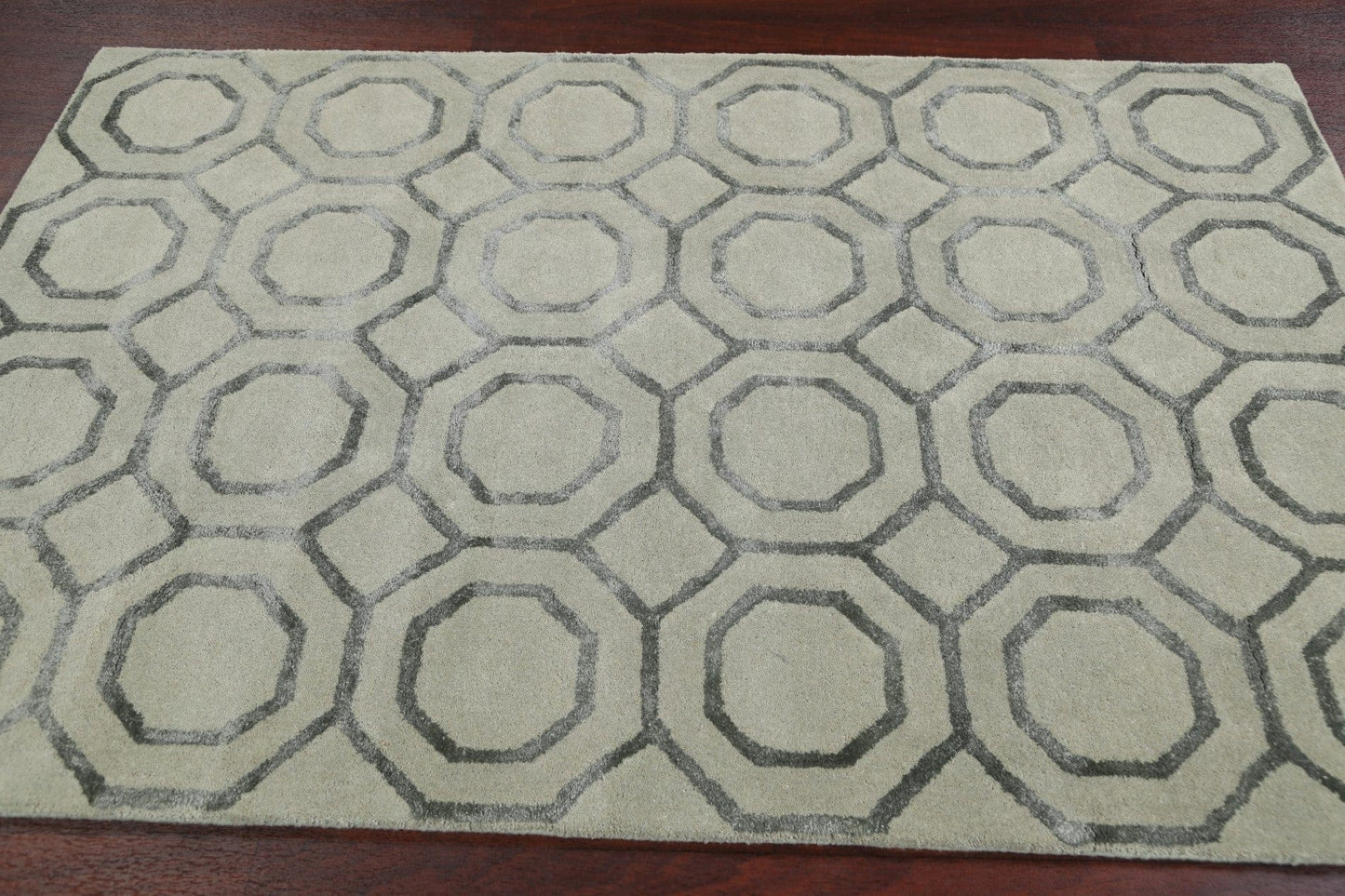 Modern Trellis Oriental Area Rug 4x6