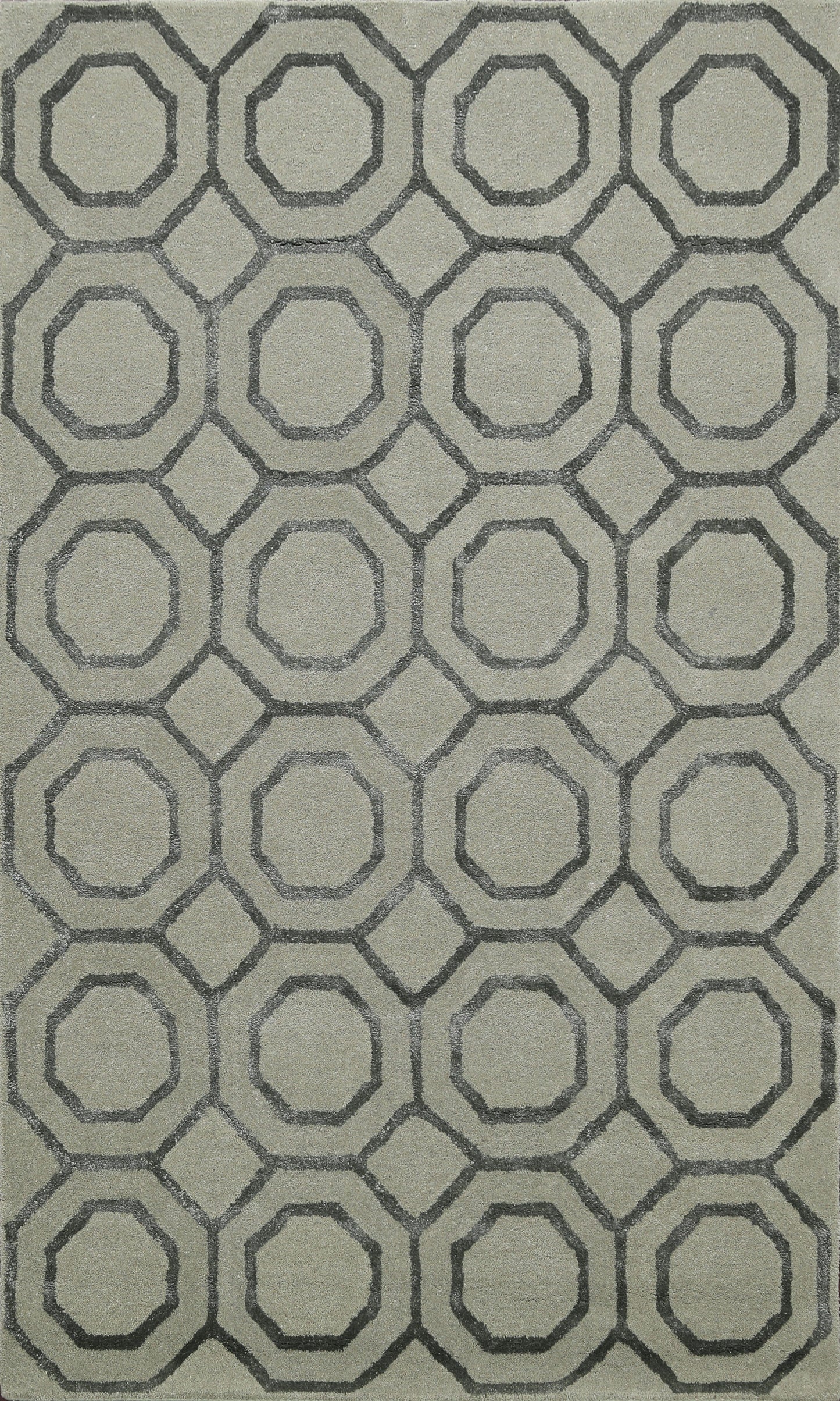 Modern Trellis Oriental Area Rug 4x6