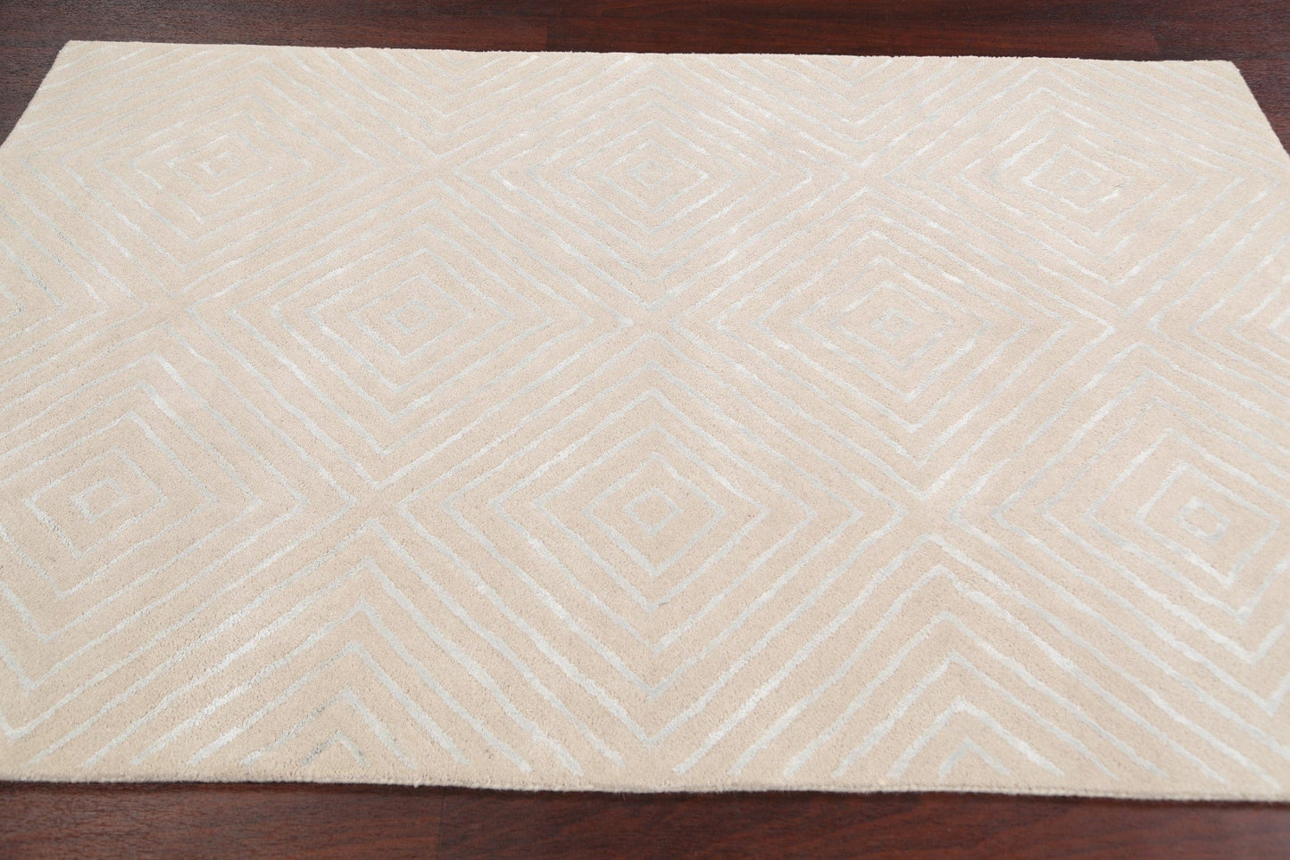 Modern Trellis Oriental Area Rug 4x6