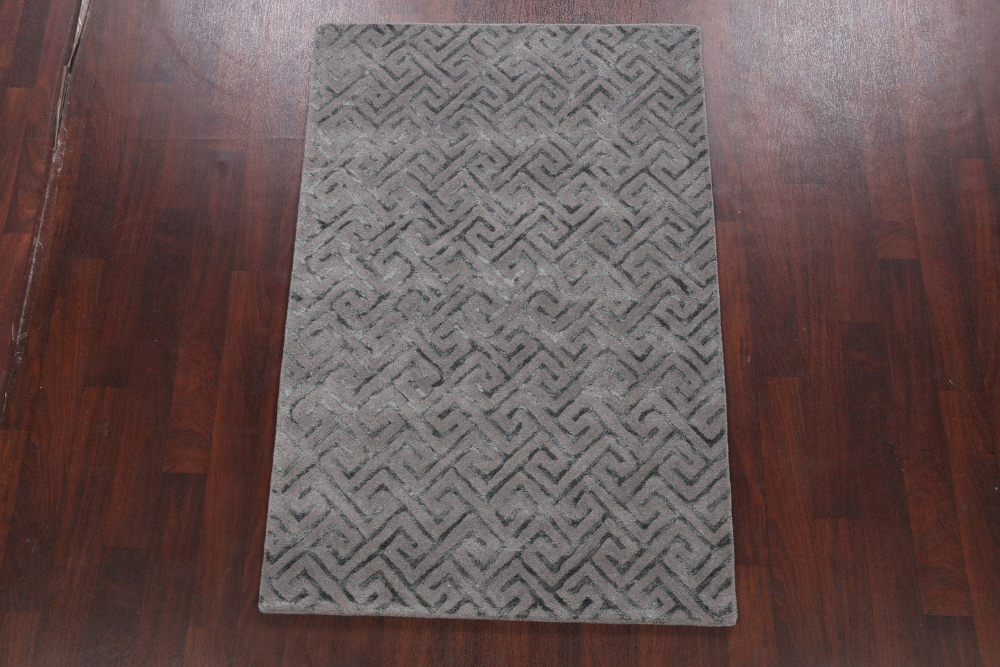 Modern Trellis Oriental Area Rug 4x6