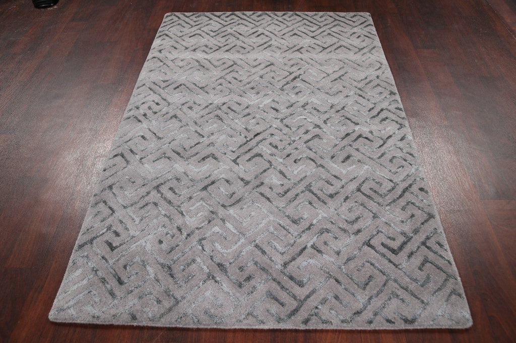 Modern Trellis Oriental Area Rug 4x6