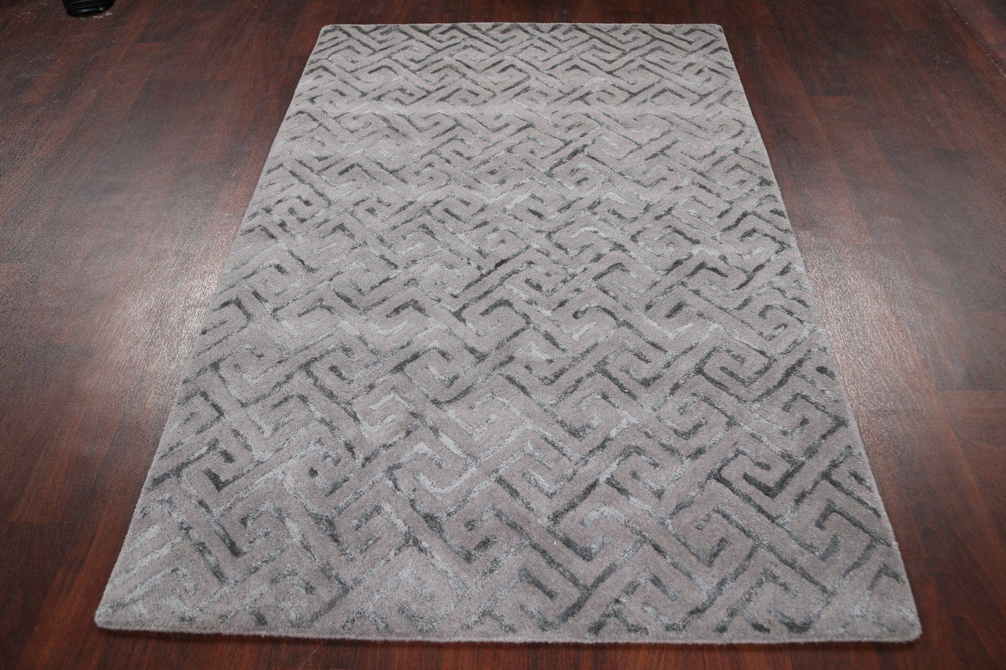 Modern Trellis Oriental Area Rug 4x6