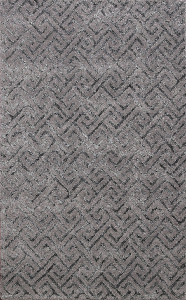 Modern Trellis Oriental Area Rug 4x6